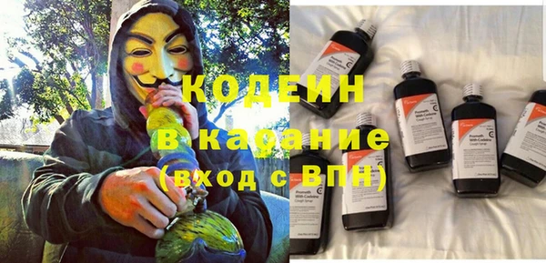 прущие грибы Абаза