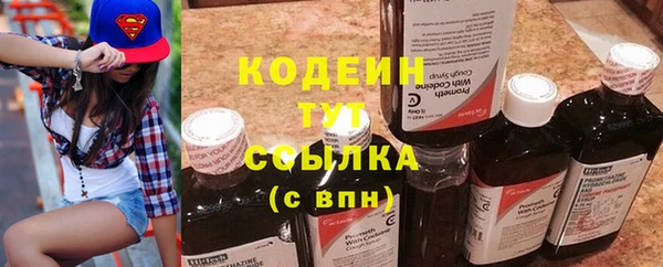 прущие грибы Абаза