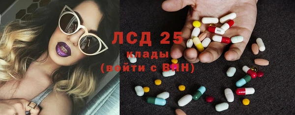 прущие грибы Абаза