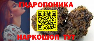 спиды Нарткала