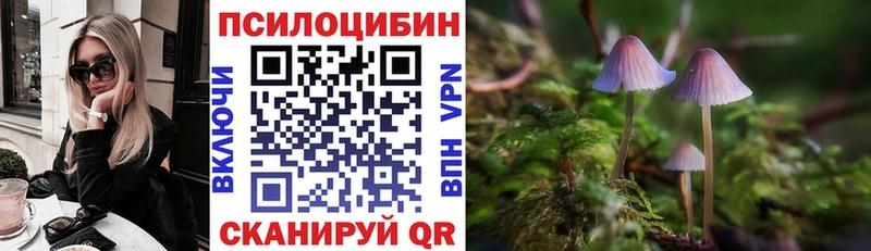 Псилоцибиновые грибы прущие грибы  Грязи 