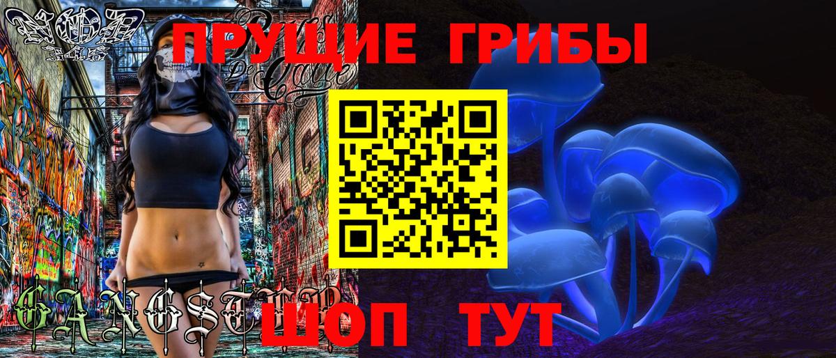Псилоцибиновые грибы Cubensis  Вход с VPN  Грязи 