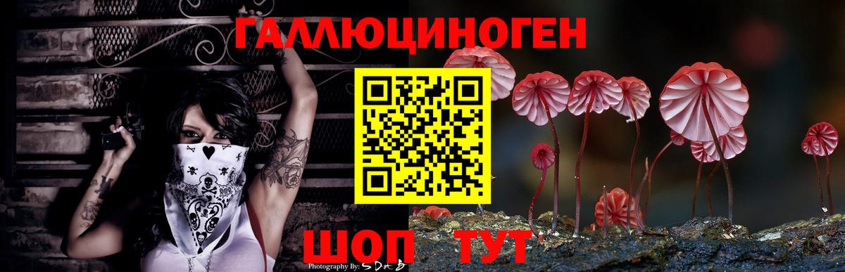 Галлюциногенные грибы MAGIC MUSHROOMS Грязи